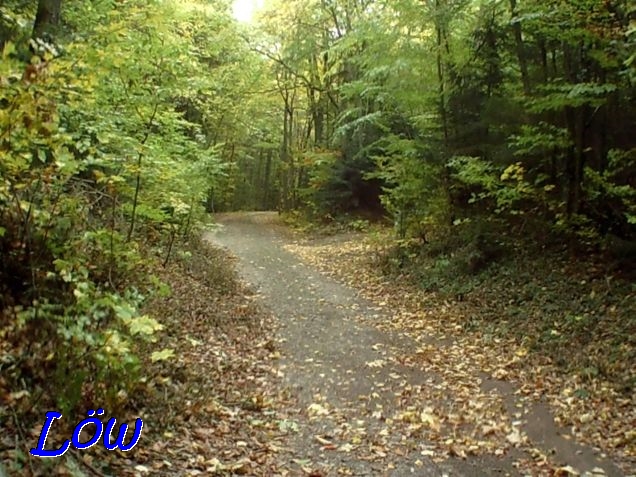 21.10.2021 - Schulgasse Waldweg